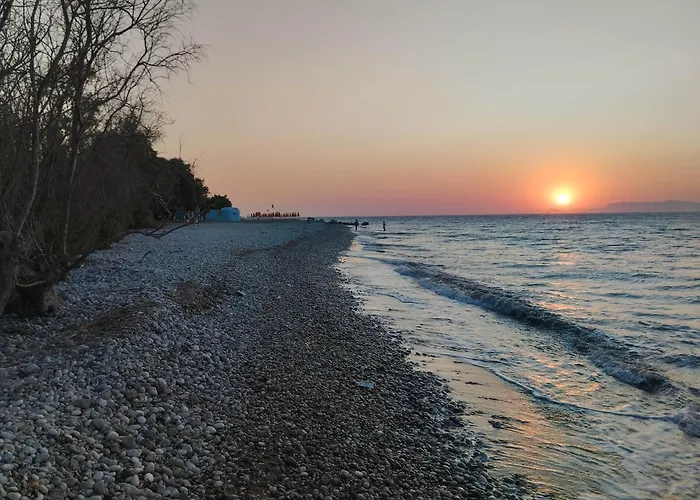 Dom wakacyjny Flora House