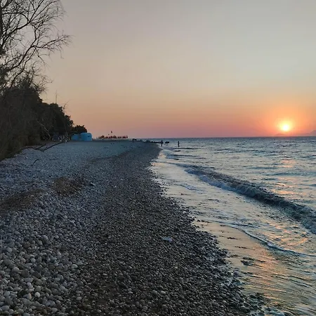 بيت للعطل Flora House